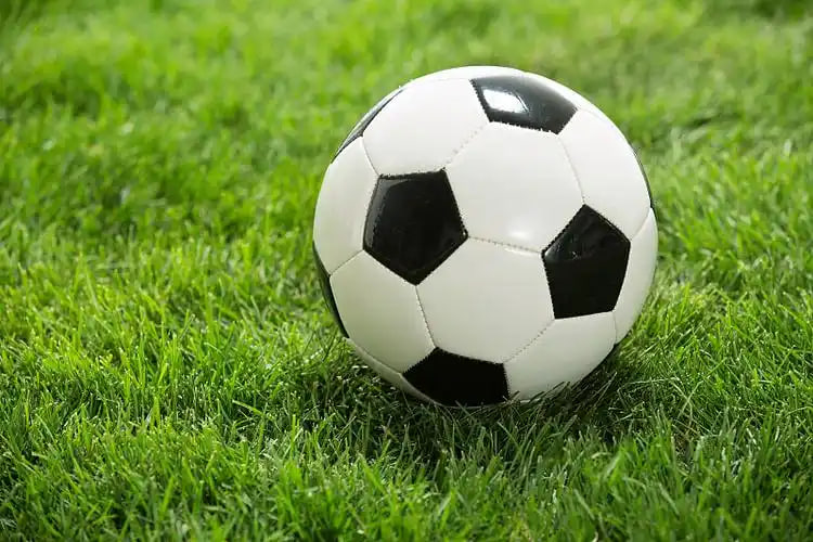 球迷观赛伴侣应用